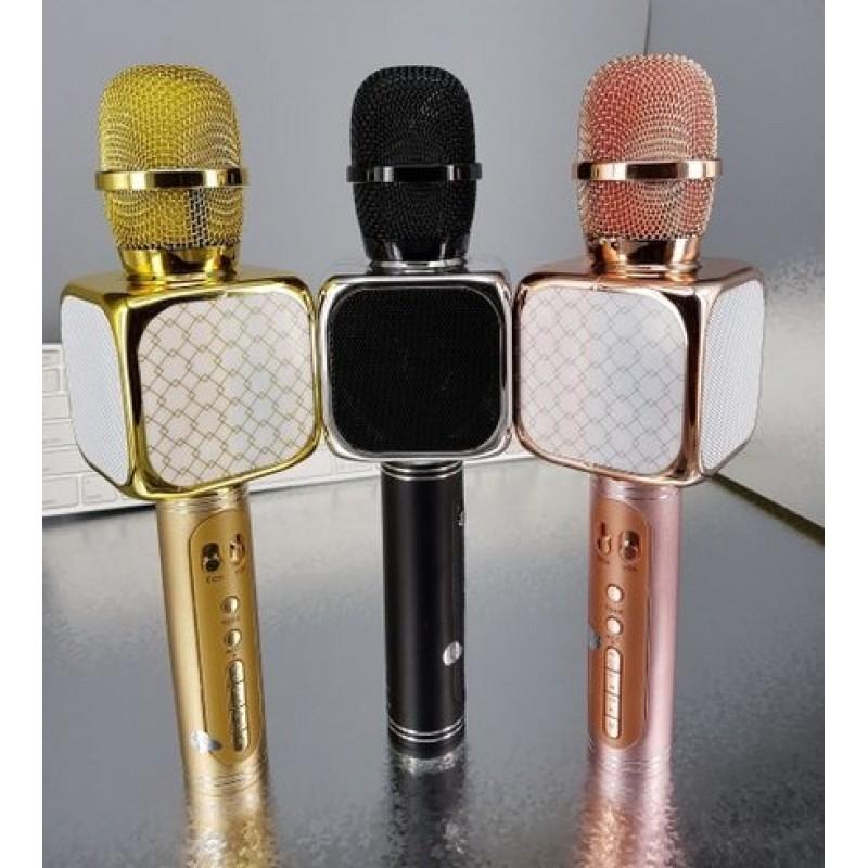 MIC Karaoke SD13