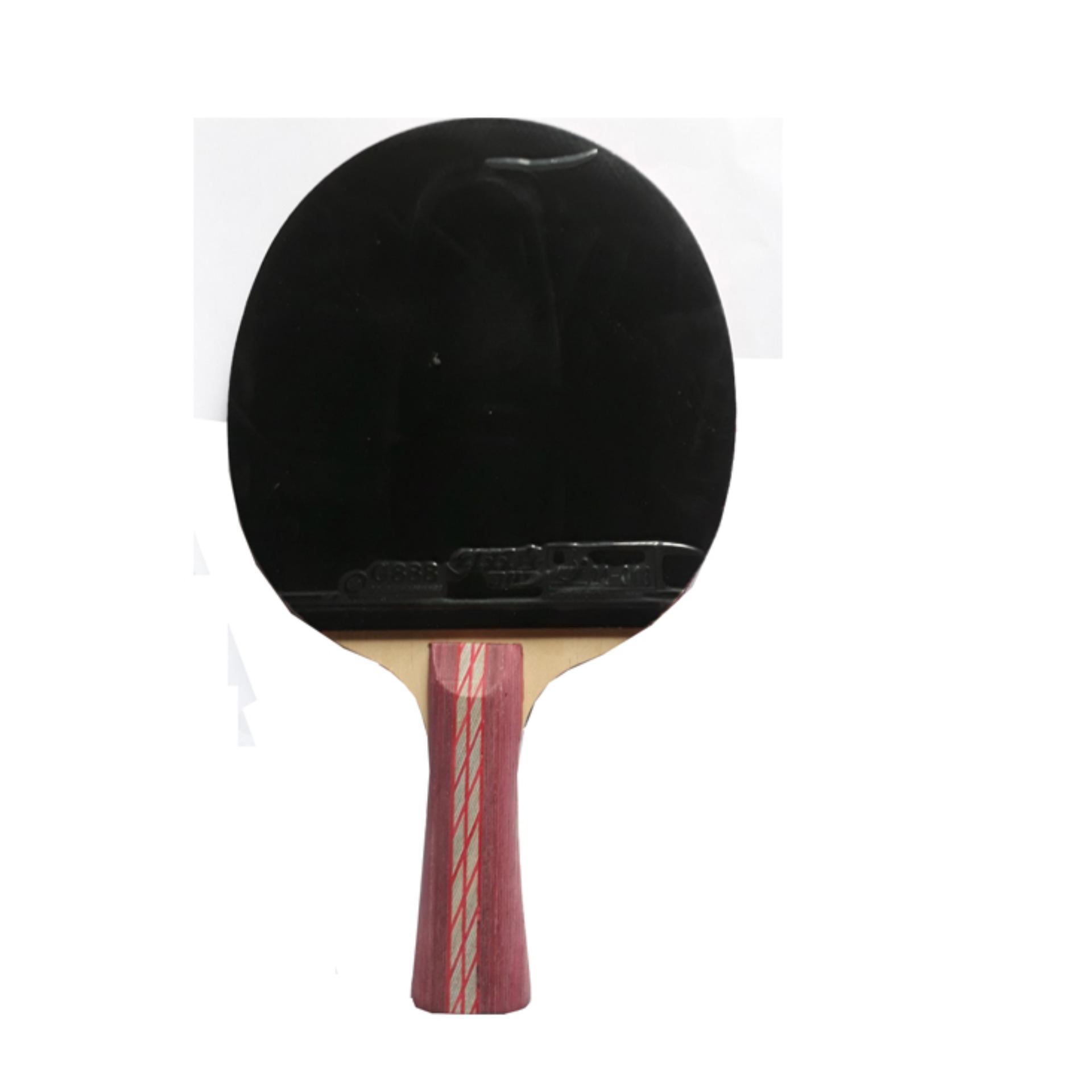 Vợt Bóng Bàn DHS 4002