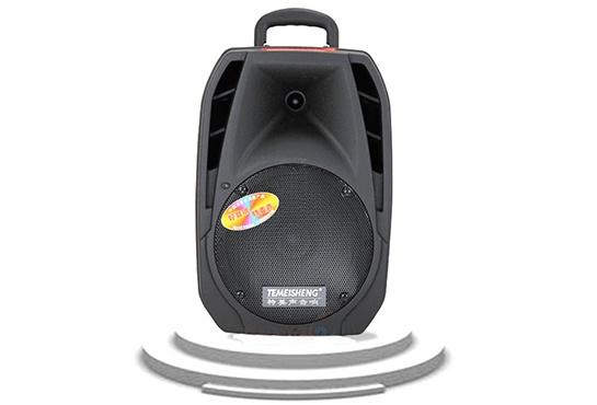 Loa kéo Bluetooth Temeisheng A25