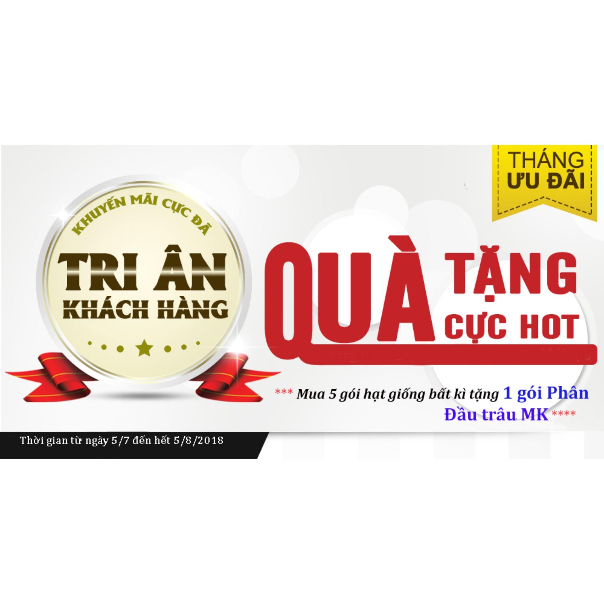 Hạt giống bí ngòi vàng