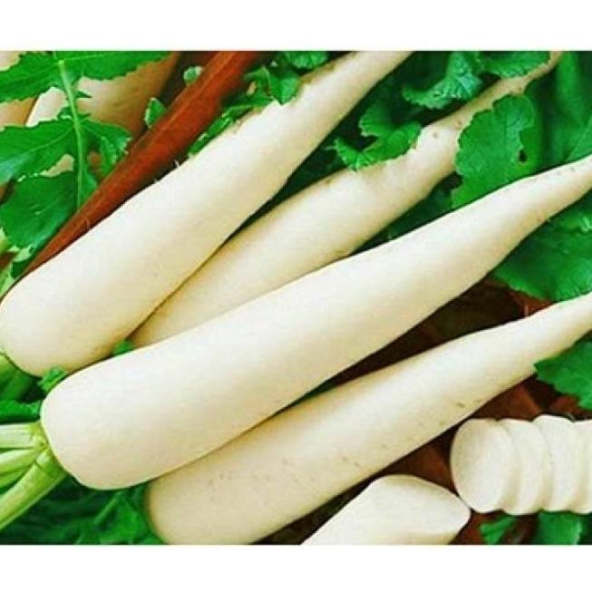 Hạt giống củ cải trắng