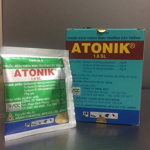 Bộ gói hạt giống Trà mi nhật mix