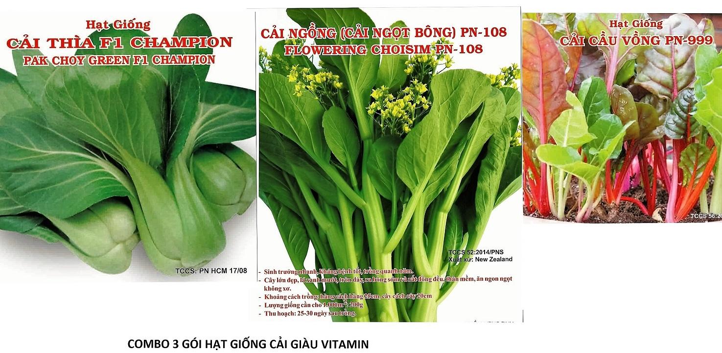 Bộ gói hạt giống Cải bảy sắc cầu vồng