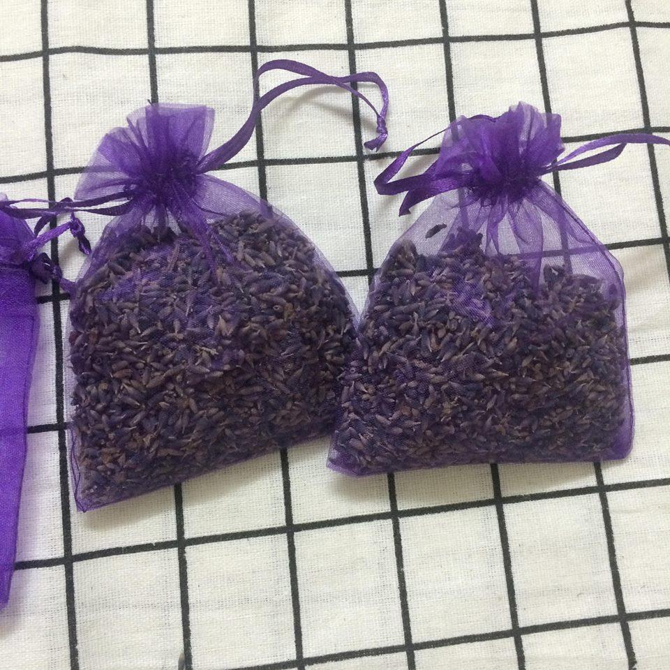Hoa khô Lavender
