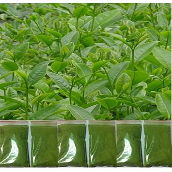 Bột Trà Xanh Bạch Tuyết 1kg