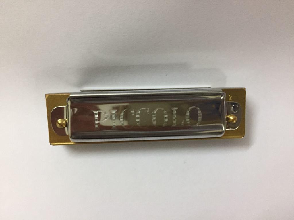 Kèn Harmonica Hohner Piccolo M214016