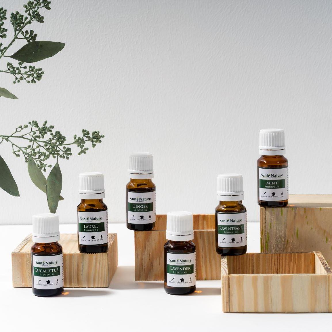 Tinh dầu Nature&Decouvertes Khuynh diệp