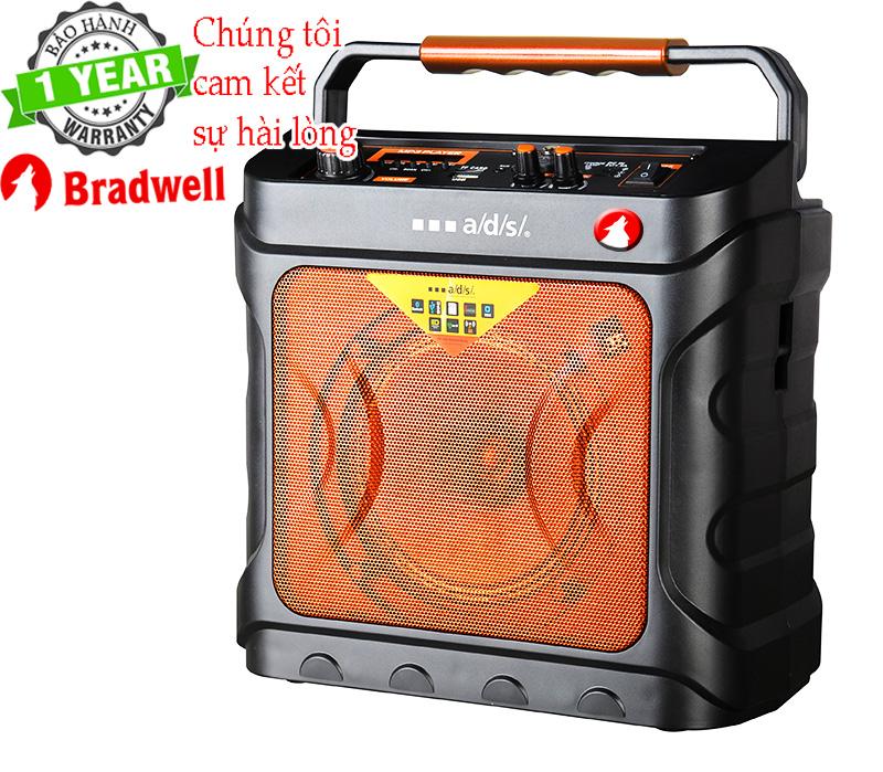 Loa di động Bradwell 112