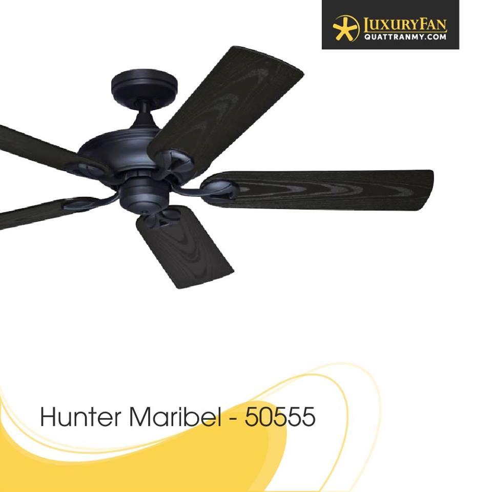 QUẠT TRẦN HUNTER MARIBEL