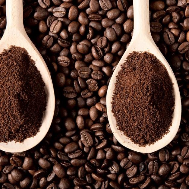 Cà phê Steppacafe Robusta