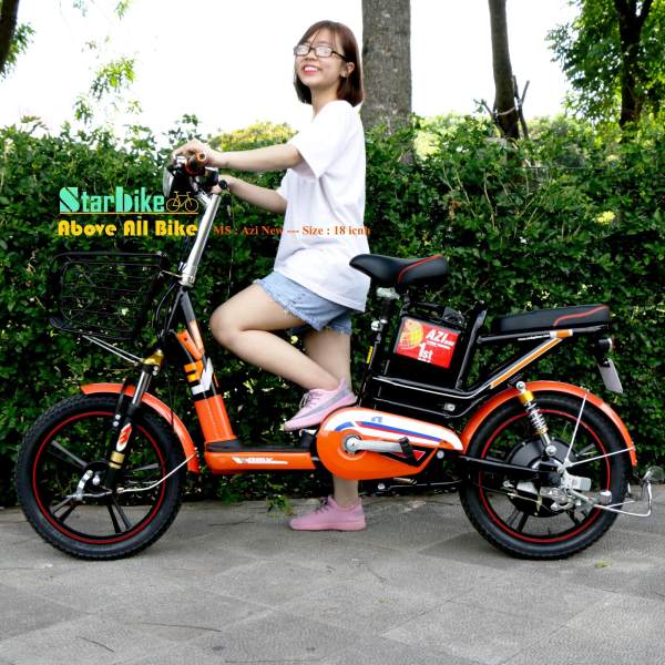 Xe đạp điện bánh mâm