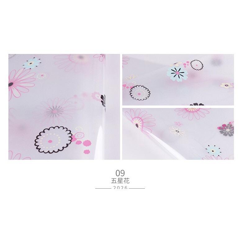 Decal Dán Kính Hoa Sắc Màu