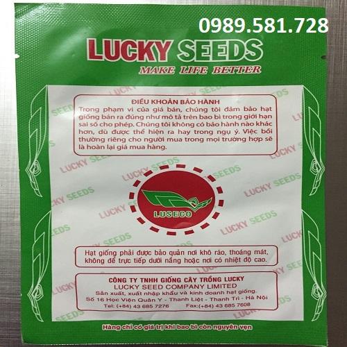 Bộ gói hạt giống Cải bẹ xanh mỡ