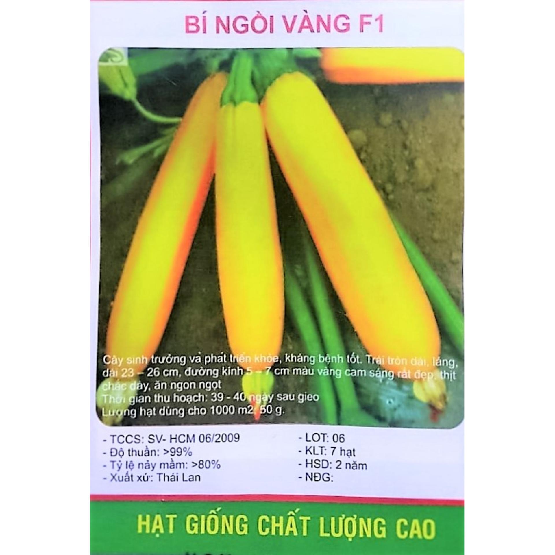 Hạt giống bí ngòi vàng