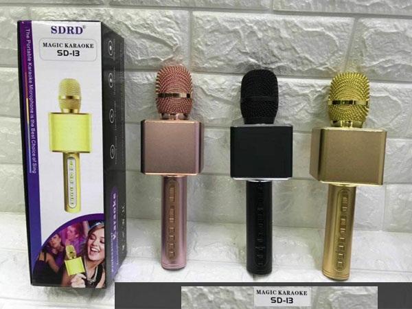 MIC Karaoke SD13