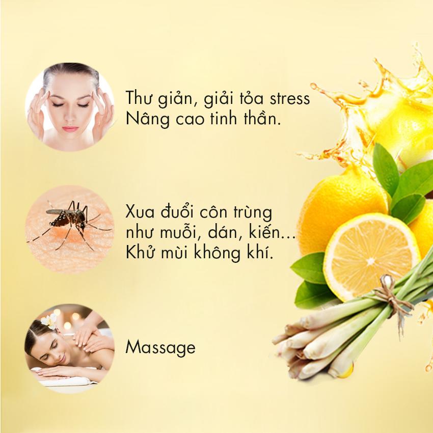 Xịt phòng tinh dầu Wise