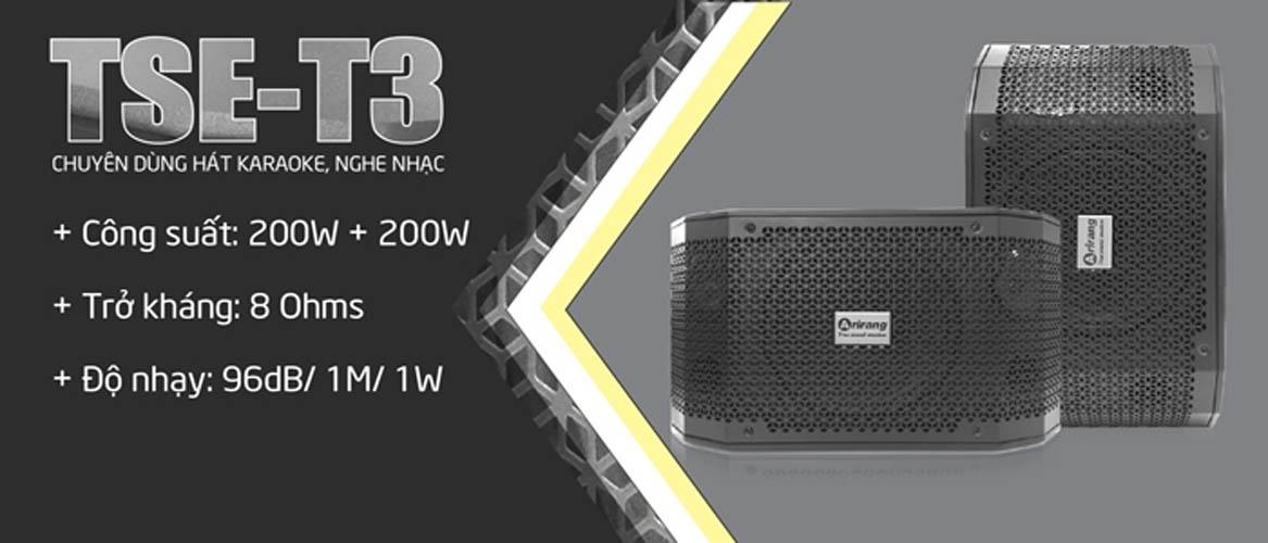 Loa Airang TSE-T3 400W