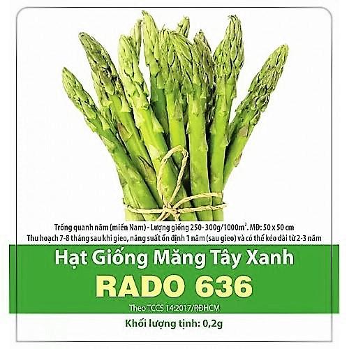 Hạt giống Măng tây xanh
