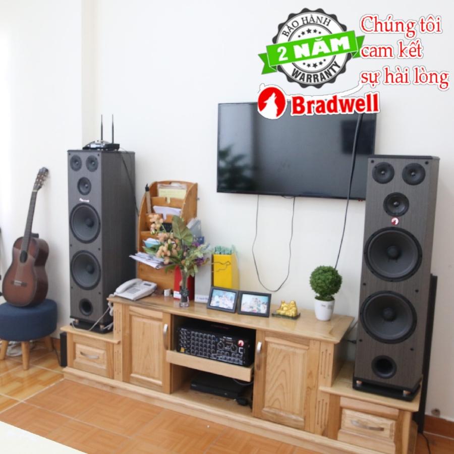 Loa cây đứng Bradwell F-6800