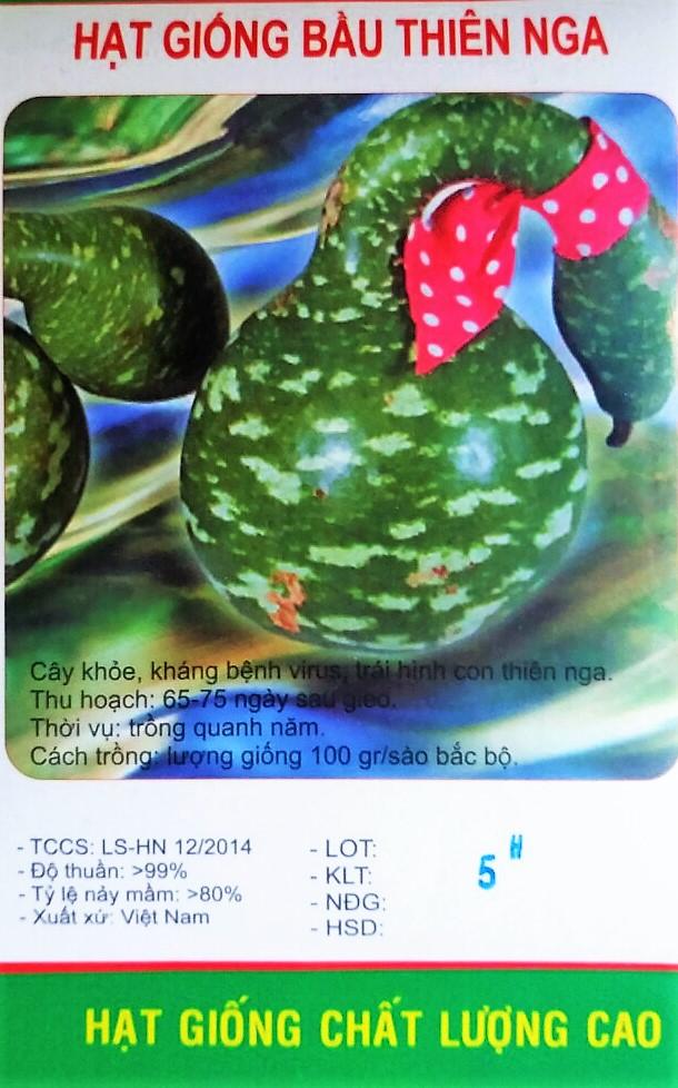 Hạt giống Bầu thiên nga
