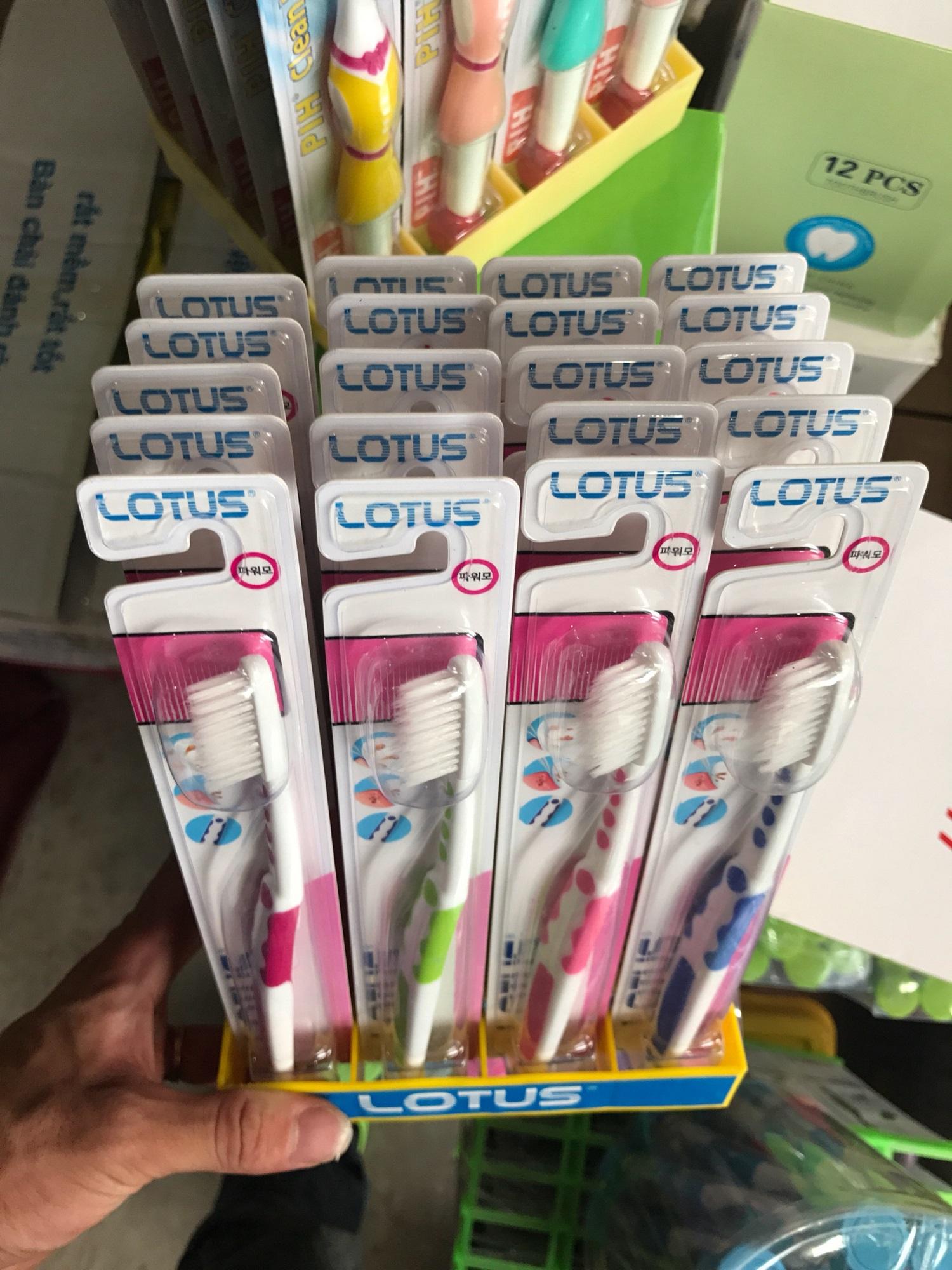 Combo 20 cây Bàn chải đánh răng Lotus