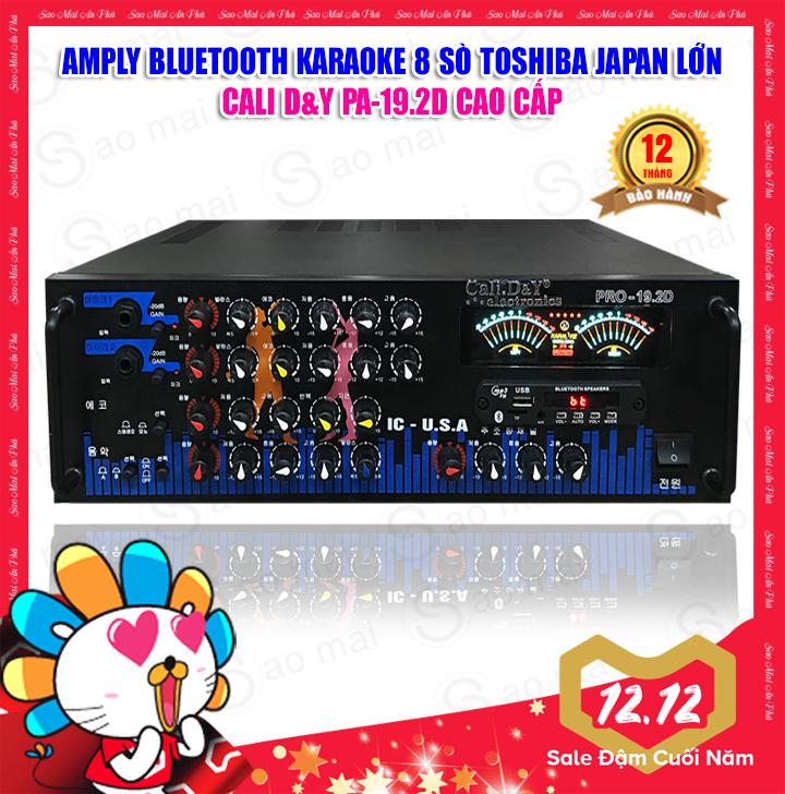 Amply Cali DY PRO 19.2D