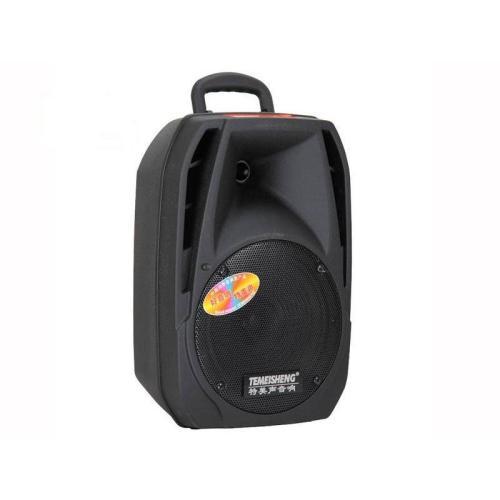 Loa kéo Bluetooth Temeisheng A25