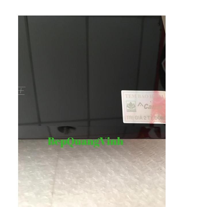Bếp Từ Hồng Ngoại Canzy CZ 06H