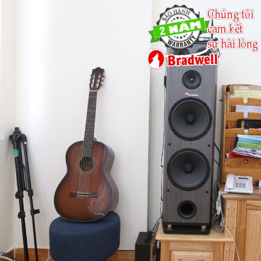 Loa cây đứng Bradwell F-6800
