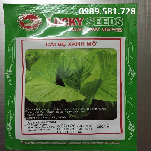 Bộ gói hạt giống Cải bẹ xanh mỡ