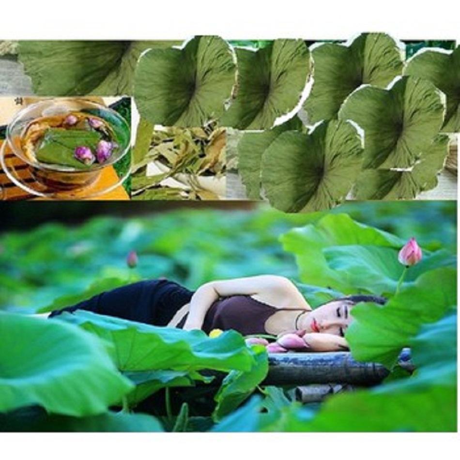 Trà lá sen Hà Diệp Liên