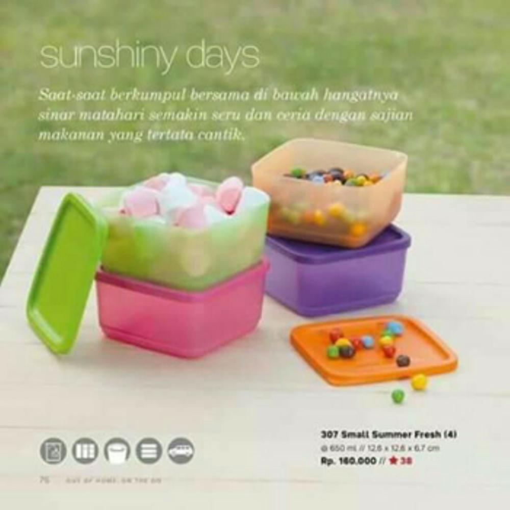 BỘ TRỮ MÁT SMALL SUMMER FRESH Set 4 Tupperware