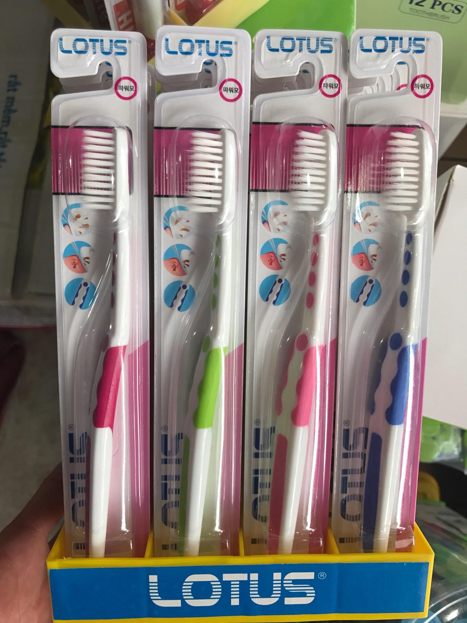 Combo 20 cây Bàn chải đánh răng Lotus