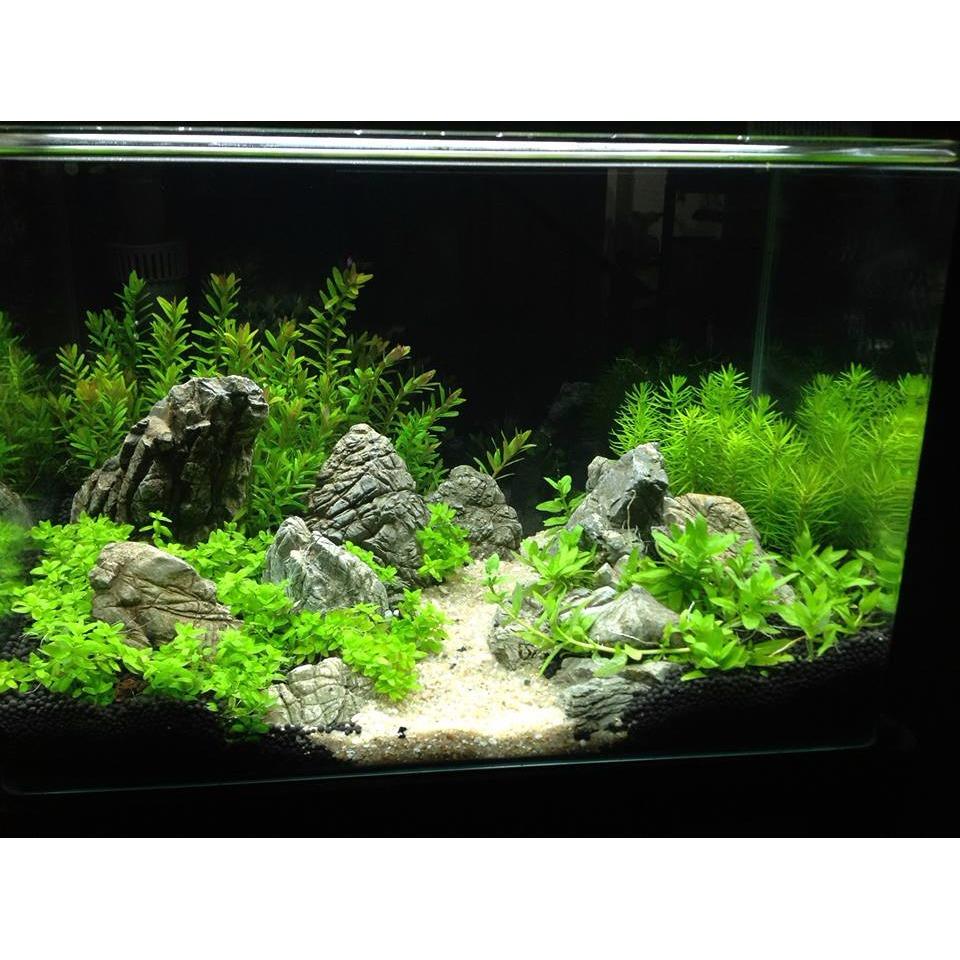 Máy lọc treo Sobo WP-607H