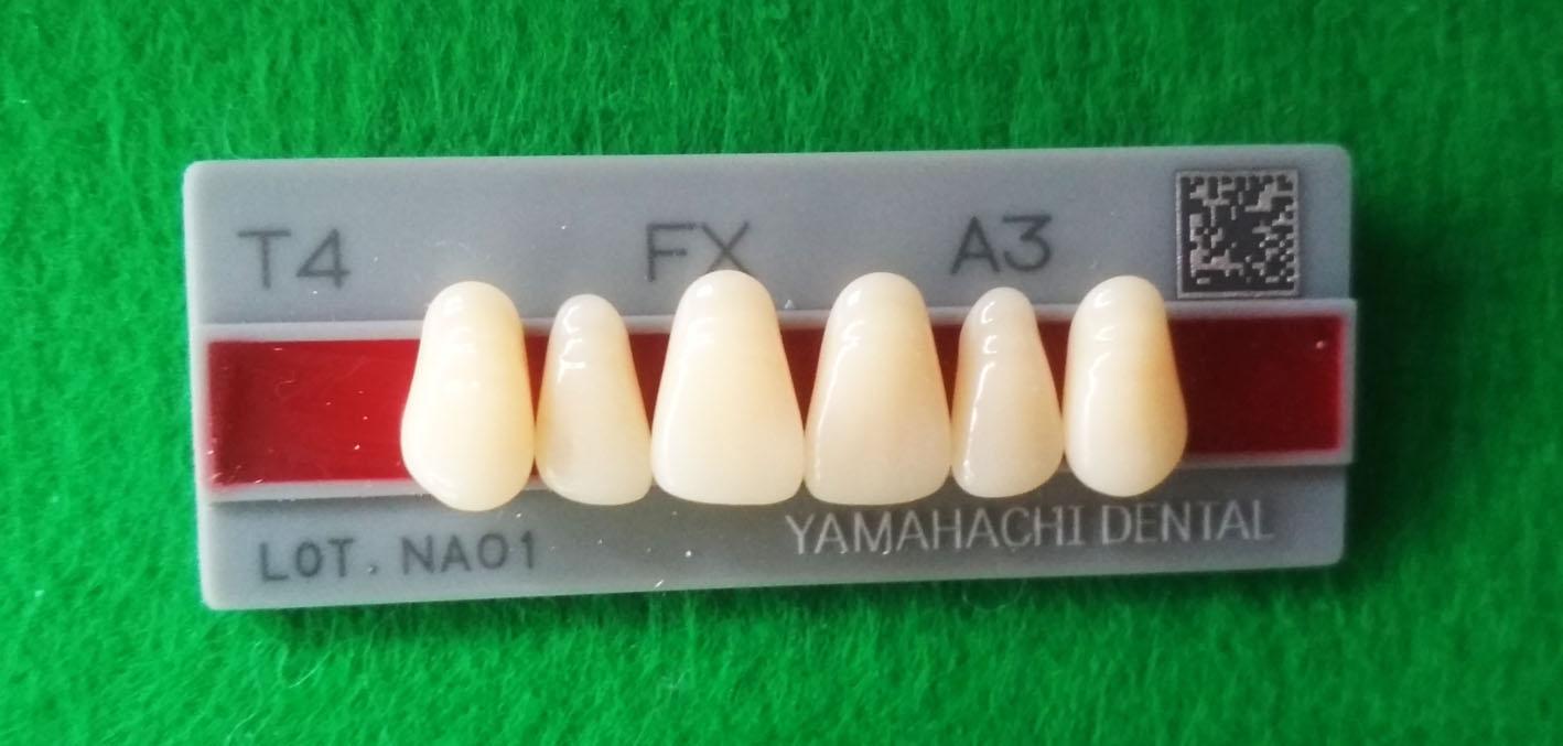Răng nhựa nha khoa 6 cái