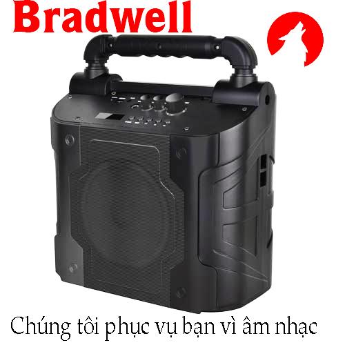 Loa di động Bradwell 112
