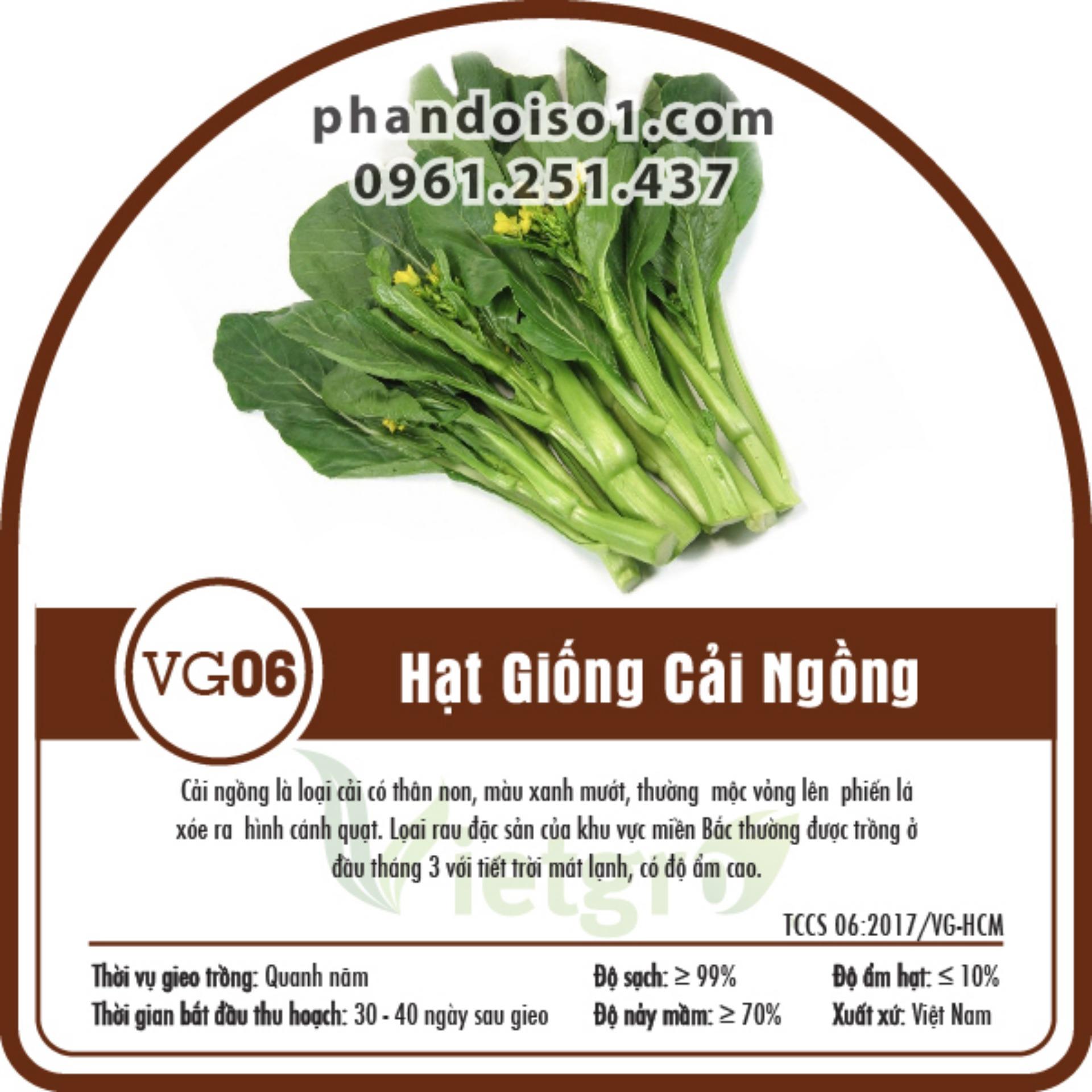 Bộ gói hạt giống Cải ngồng (cải ngọt bông)