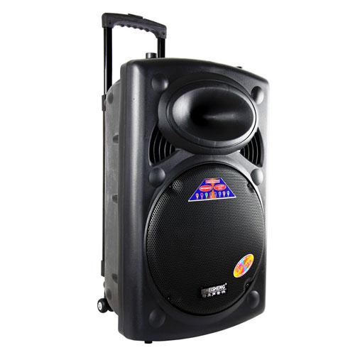 Loa kéo Temeisheng DP-2305L