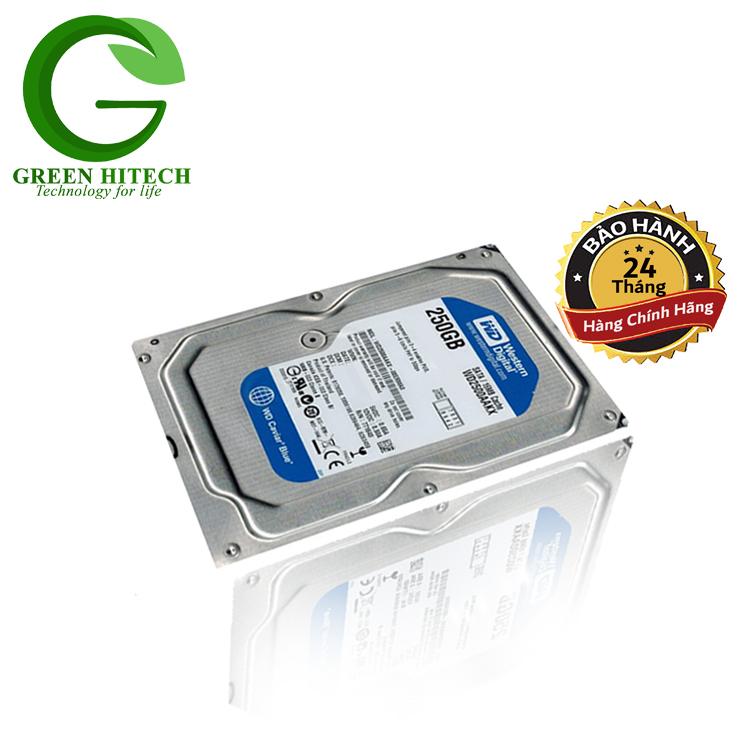 Ổ cứng HDD Western Digital 250GB Caviar Blue