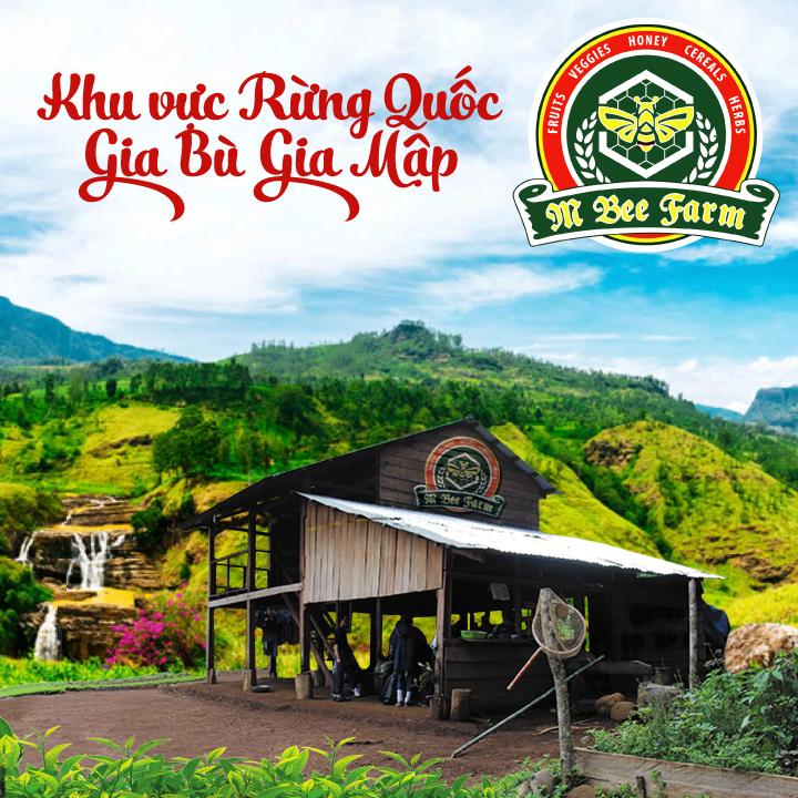Mật ong M honey 100ML