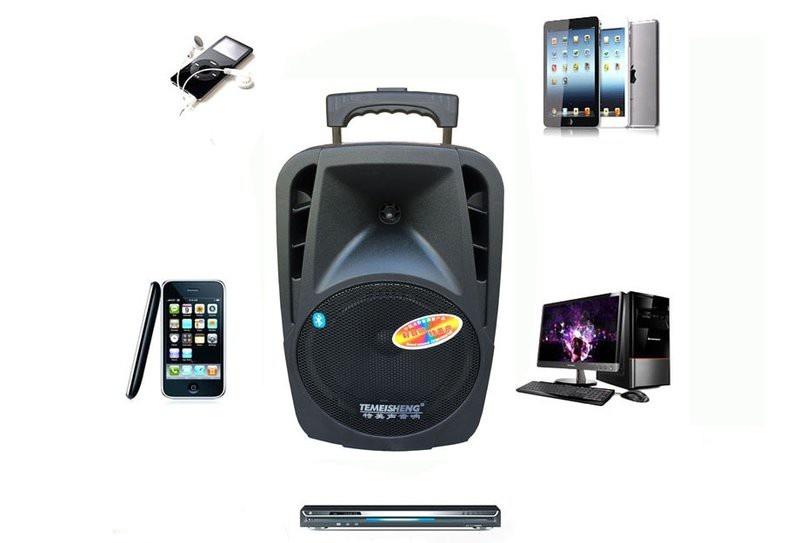 Loa kéo Bluetooth Temeisheng A25