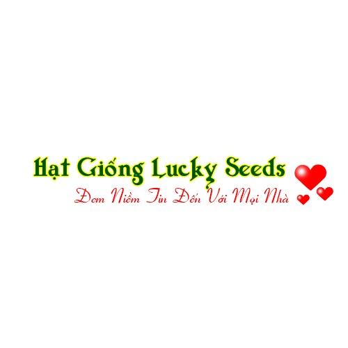 Bộ gói hạt giống Atiso đỏ