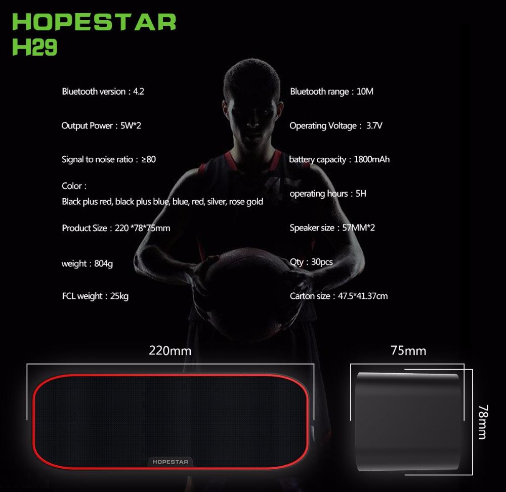LOA NGHE NHẠC HOPESTAR H29