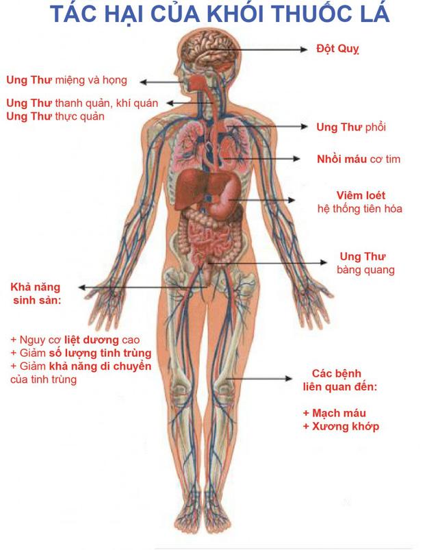 Kẹo cai thuốc lá Nhật Bản