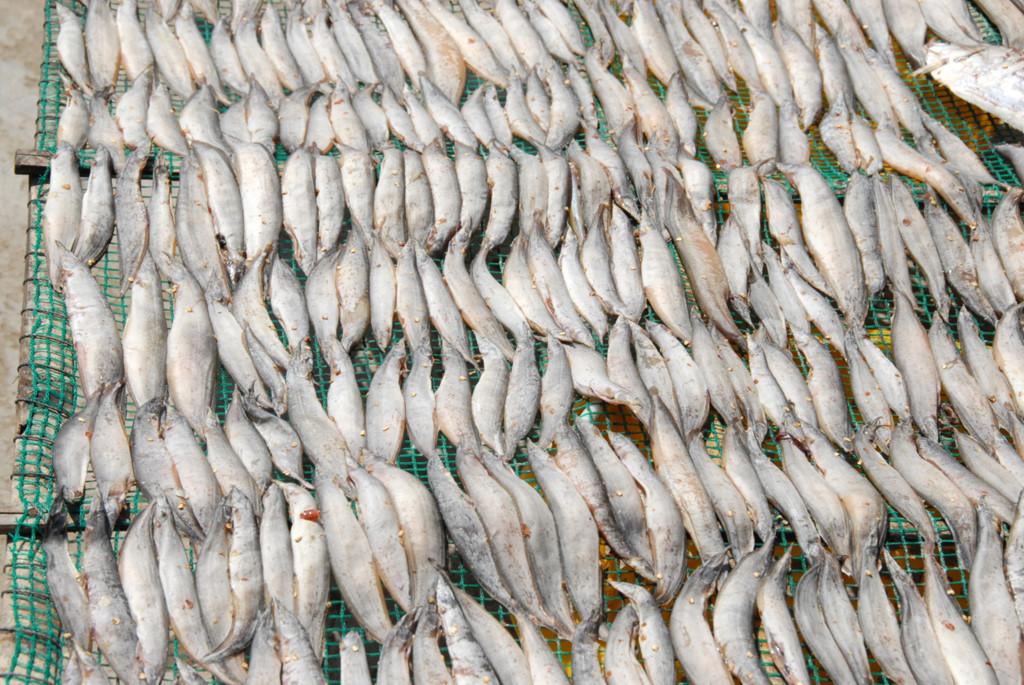 Khô cá chạch 1kg