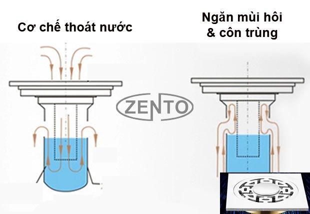 THOÁT SÀN AQUA PLUS INOX ZENTO NX533-1L