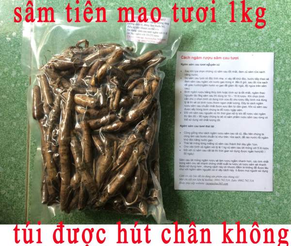 sâm cau chuẩn (sâm tiên mao) hàng tươi gói 1kg