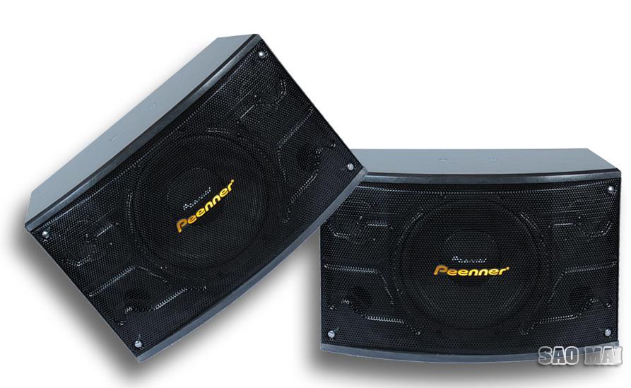 Loa Karaoke Peenner PS-199