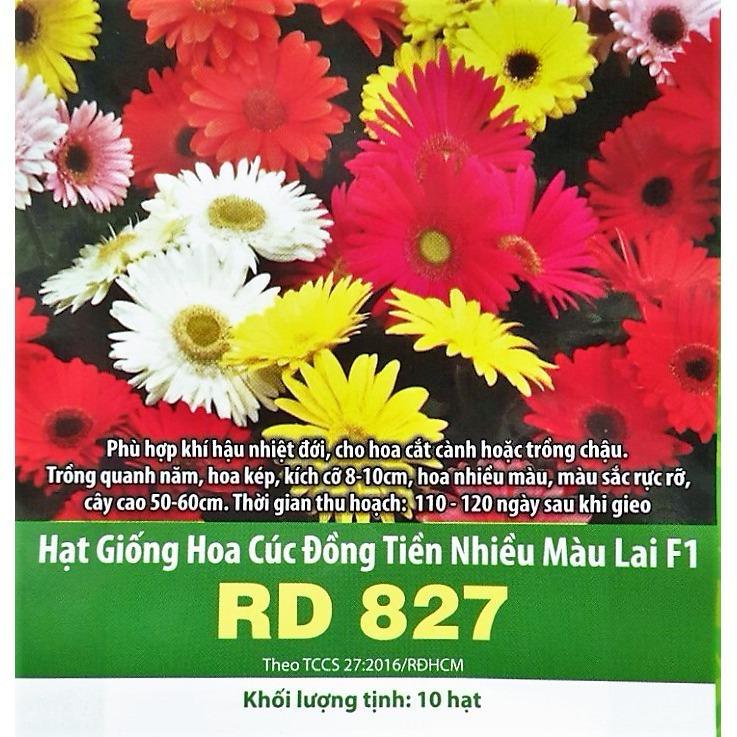 Hạt giống hoa đồng tiền