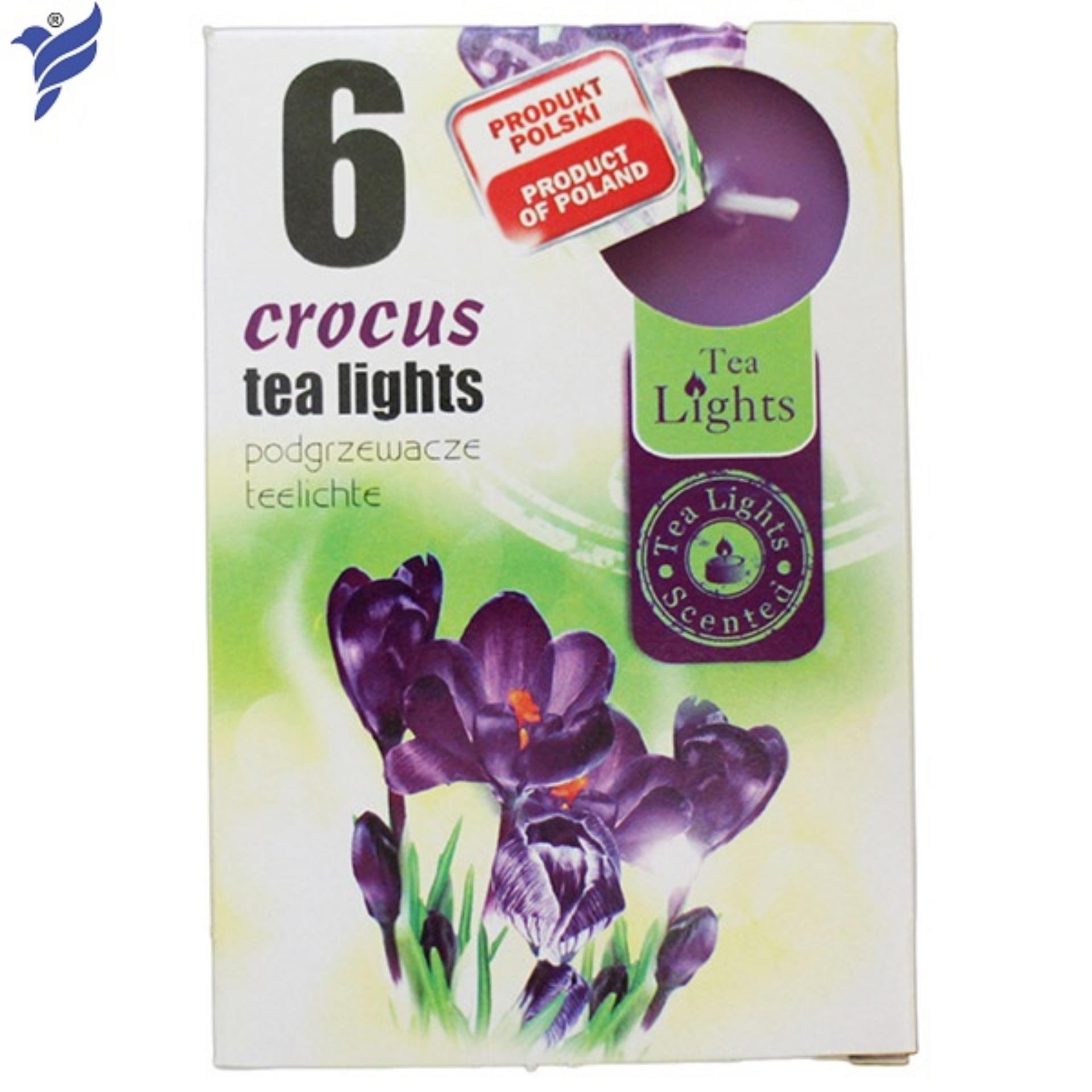 Nến Tealights Hương hoa nghệ tây ADM0711